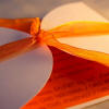 Die-cut wedding invitation with wording printed on orange vellum